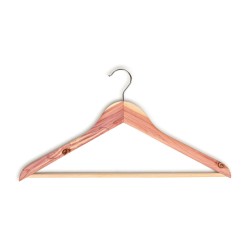 Pack with shoe trees and 3 shirt hangers in cedar wood | Skolyx