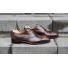 Brogued balmoral oxford in dark brown mixed color