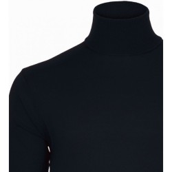 Alan Paine rollneck merino wool black