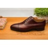 TLB Artista Brogued Cap Oxford Vegano Burgundy