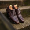 Skolyx Dark Brown Adelaide Oxford | World class shoes | Skolyx