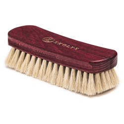 Shoe brush